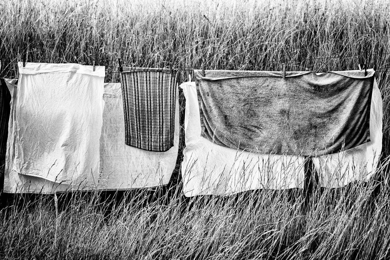 Clothes drying in the wind